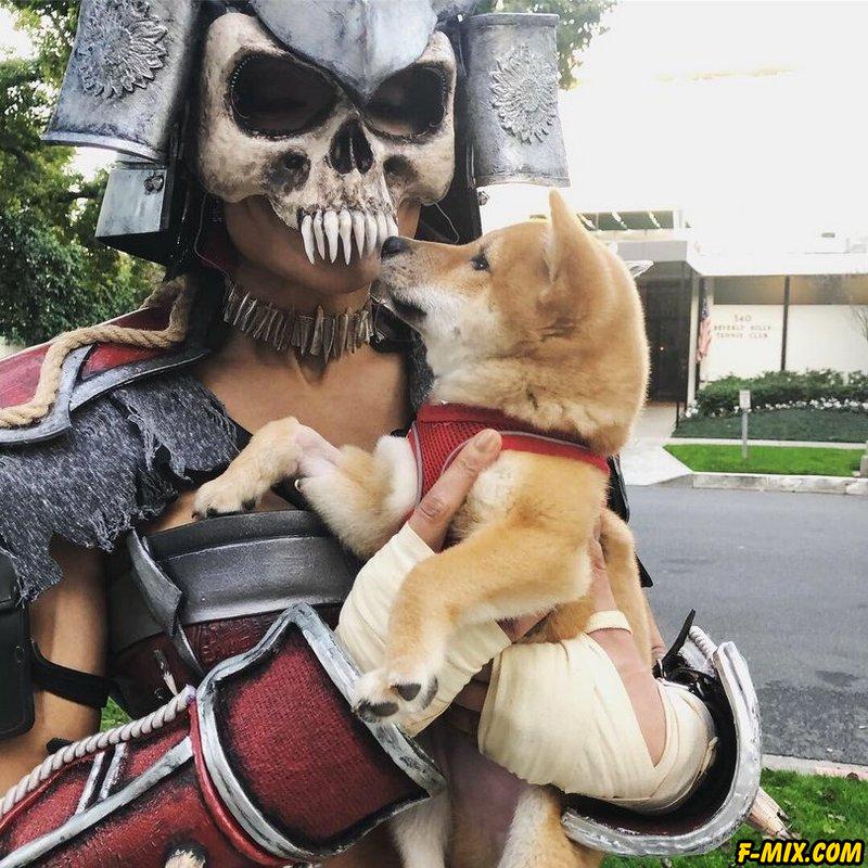 ������� �� ��� ���� ������� ������ �� Mortal Kombat