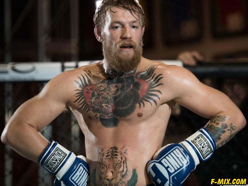 ����� ���������� ���� ����������� MMA ����� ��������� 